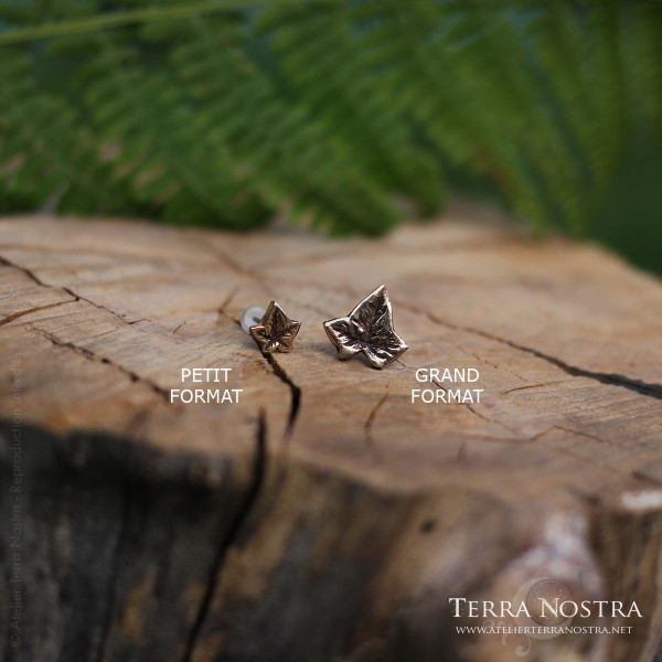 copy of "Hedera" Ear studs