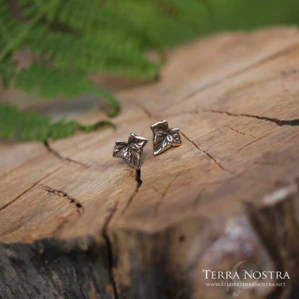 copy of "Hedera" Ear studs