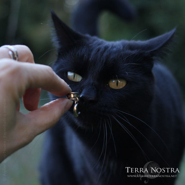 "Luna" Ear cuff — With moon crescent