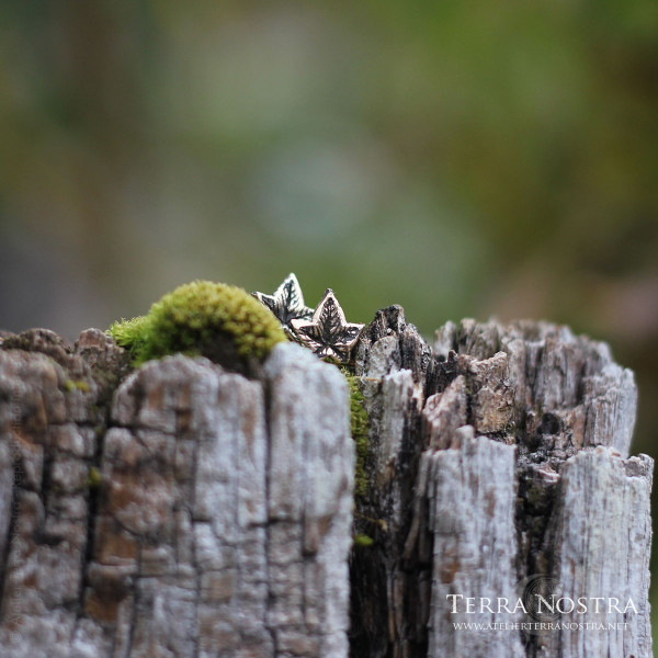 Puces d'oreille "Hedera" — Petit format