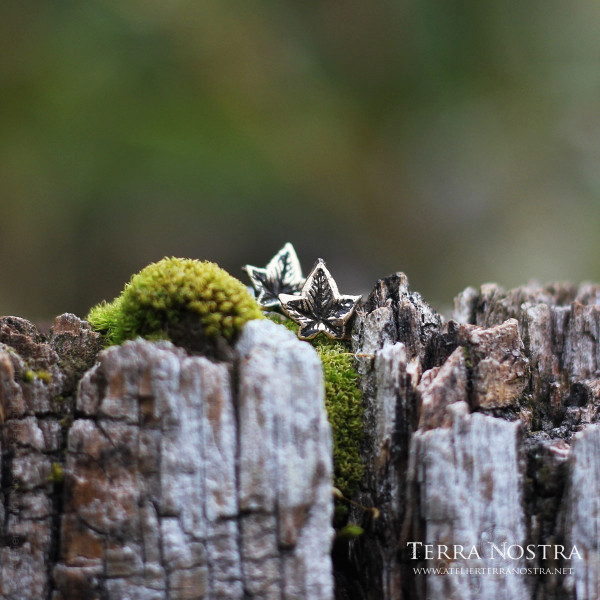 Puces d'oreille "Hedera" — Petit format