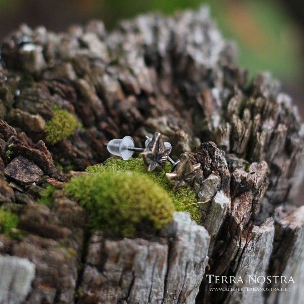 Puces d'oreille "Hedera" — Petit format