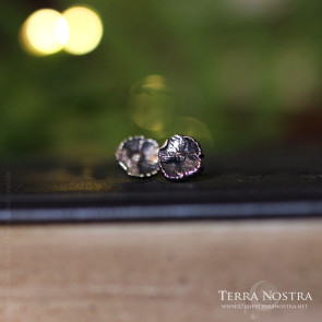 copy of "Alessa" Fern ear studs