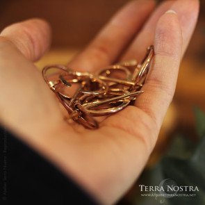 copy of "Hedera" fibula