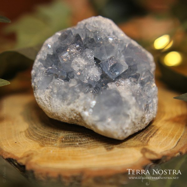 Druse de Célestite - 525g
