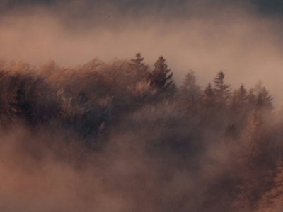 Un pied en Automne, l'autre en Hiver